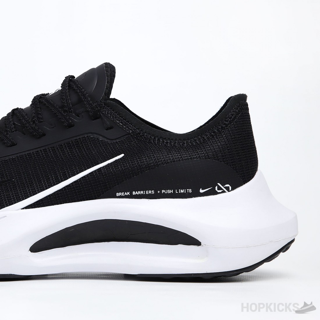 pegasus 39 pro